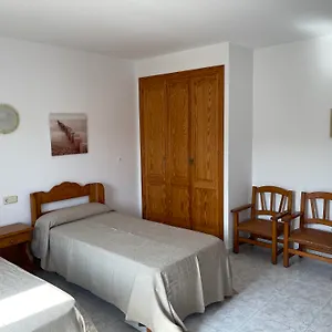 Gallu Cala Ratjada (Mallorca)